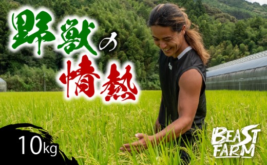 【令和8年産 新米早期予約】 コシヒカリ 10kg 選べる内容量 定期便 野獣の情熱 8月下旬より発送 国産 高知県産 白米 精米 ごはん お米 産地直送 井上農園 ビースト農園 新米コシヒカリ おすすめ 人気 ランキング 贈り物 高知県 須崎市
