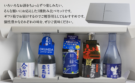 【遅れてごめんね 父の日（6月23日～28日お届け）】 奥飛騨酒造！5種飲み比べセット（にごり,純米吟醸,スパークリング,辛口純米,本醸造生貯蔵酒　各300ml）【16-32fo】