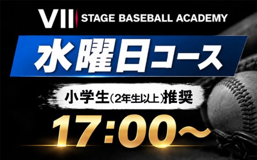 【野球教室1日体験】元横浜DeNAベイスターズ 武藤祐太が直接指導｜投手コース 【小学生推奨】 【水曜 17時～ 】 神奈川県 厚木市 Ⅶ STAGE BASEBALL ACADEMY SSB004