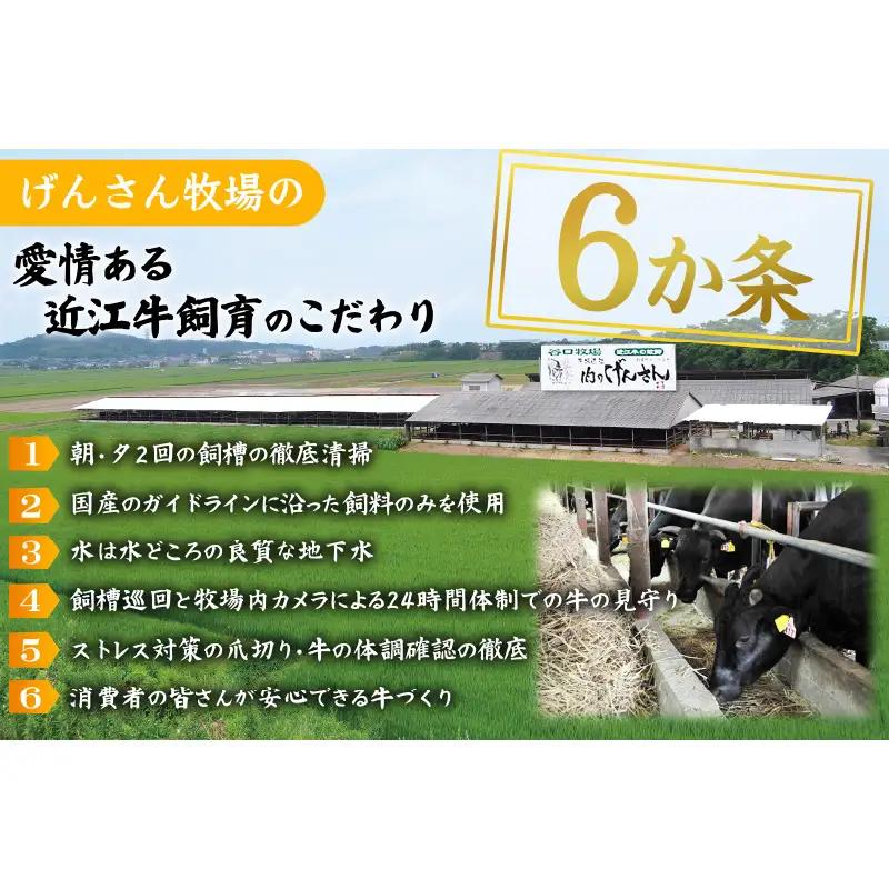 近江牛A5ランク切落し700g 肉のげんさん 近江牛