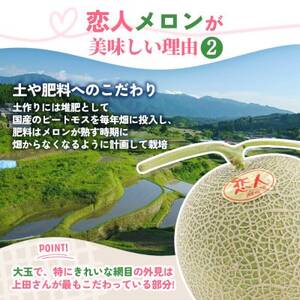 熊本県 美里町 「恋人メロン」 計2.8kg以上(2玉～3玉) 【上田農園】【1623920】