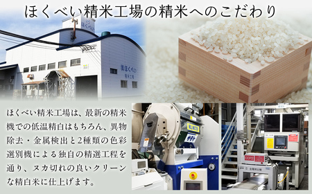 【令和7年産】北海道産ななつぼし 10kg（5kg×2） 【ふるさと納税 人気 おすすめ ランキング 米 こめ コメ お米 ななつぼし ご飯 ごはん 白米 おにぎり 精米 北海道産 北海道 網走市 送