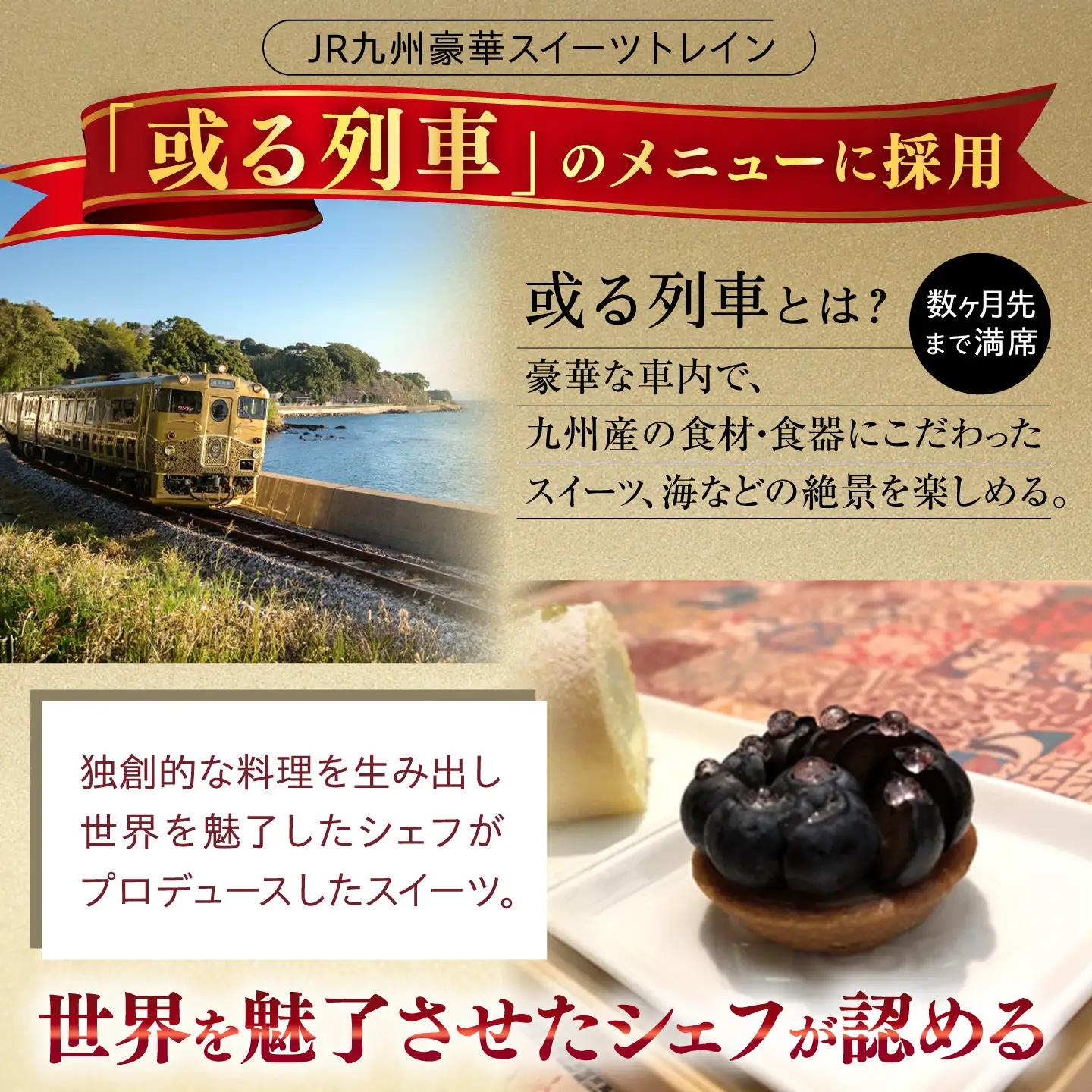 冷凍ブルーベリー 計1.2kg フルーツ ベリー 果物 小分け QAT017