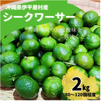 
                  青シークワーサー 伊平屋村産 2kg【1551907】
                