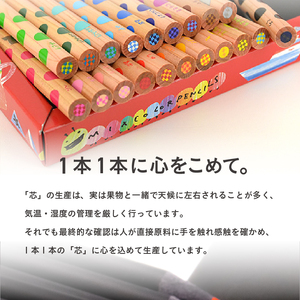 ミックス色鉛筆セット（20色入+鉛筆けずり付）