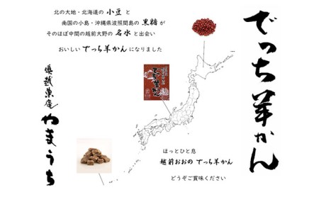 【先行予約】老舗和菓子店　福井県大野市冬の名物 でっち羊かん 厚サイズ（約500g）1本【11月より順次発送】