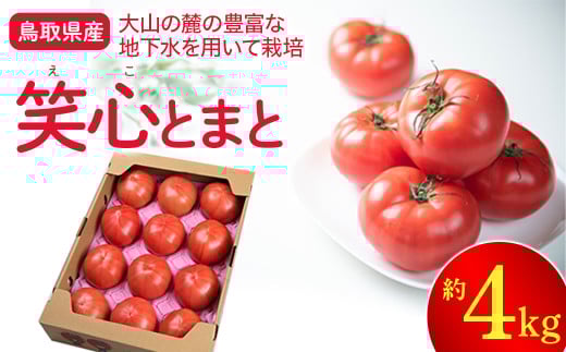 【先行予約】鳥取県産笑心とまと（4kg）トマト 新鮮トマト 鳥取トマト 笑心とまと 野菜 リコピン サラダ 野菜 新鮮 鮮度 抜群 トマト