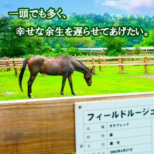 【 支援 】 支援引退馬6千円