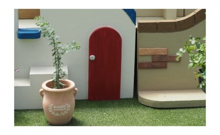 苗木 ミモザアカシア 鉢植え つぼ小 植物 ガーデン 苗木