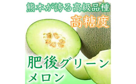 ＜ R8年熊本地震復興支援 ＞熊本県産 小玉スイカ & 肥後グリーンメロン 食べ比べ （計2玉計約3.5kg） 【2027年5月上旬迄発送予定】 小玉すいか 小玉西瓜 スイカ すいか 西瓜 メロン め