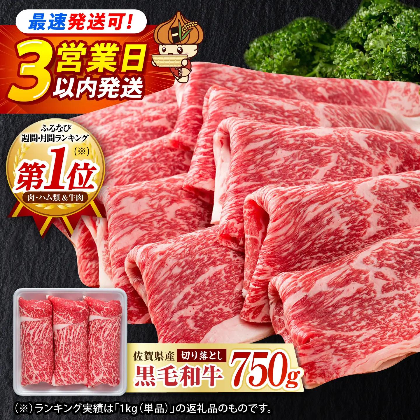 【スピード発送】佐賀産和牛 牛肉切り落とし 750g [IAG208] 牛肉切り落とし