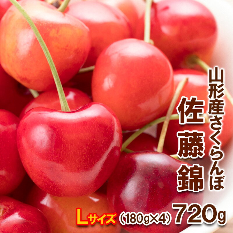 【ふるさと納税】さくらんぼ 佐藤錦 Lサイズ 720g(180g×4パック) 【令和9年産先行予約】FS25-568 くだもの 果物 フルーツ 山形 山形県 山形市 お取り寄せ 2027年産