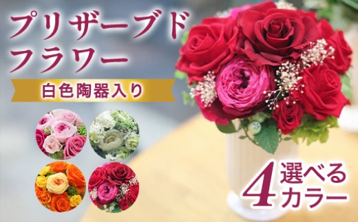 
            【選べる4色♪】プリザーブドフラワーアレンジ　中
          