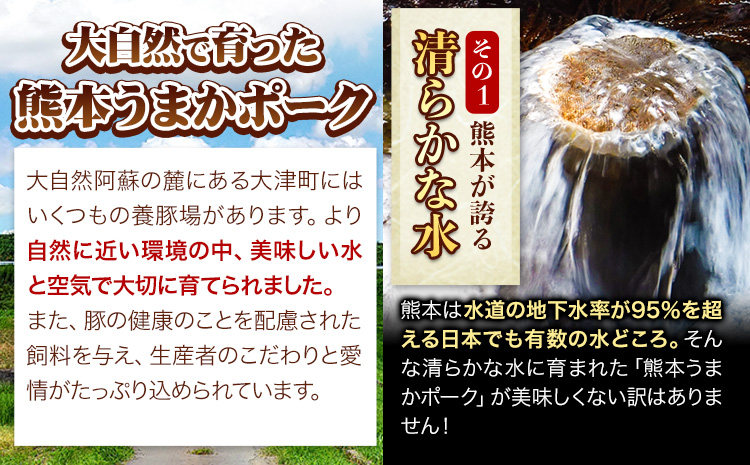 【最速出荷】熊本うまかポークミンチ 【 全パックミンチ 】 計4.0kg 約400g前後×10袋  《1-5営業日以内に出荷予定(土日祝除く)》 冷凍 豚 個別 個別包装 大容量 ブタ 豚肉 小分け 