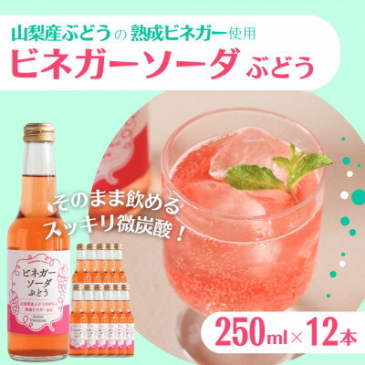 【ふるさと納税】山梨産ぶどう100%の熟成ビネガーで造った!そのまま飲める【ビネガーソーダぶどう12本セット】【配送不可地域：離島】【1537862】