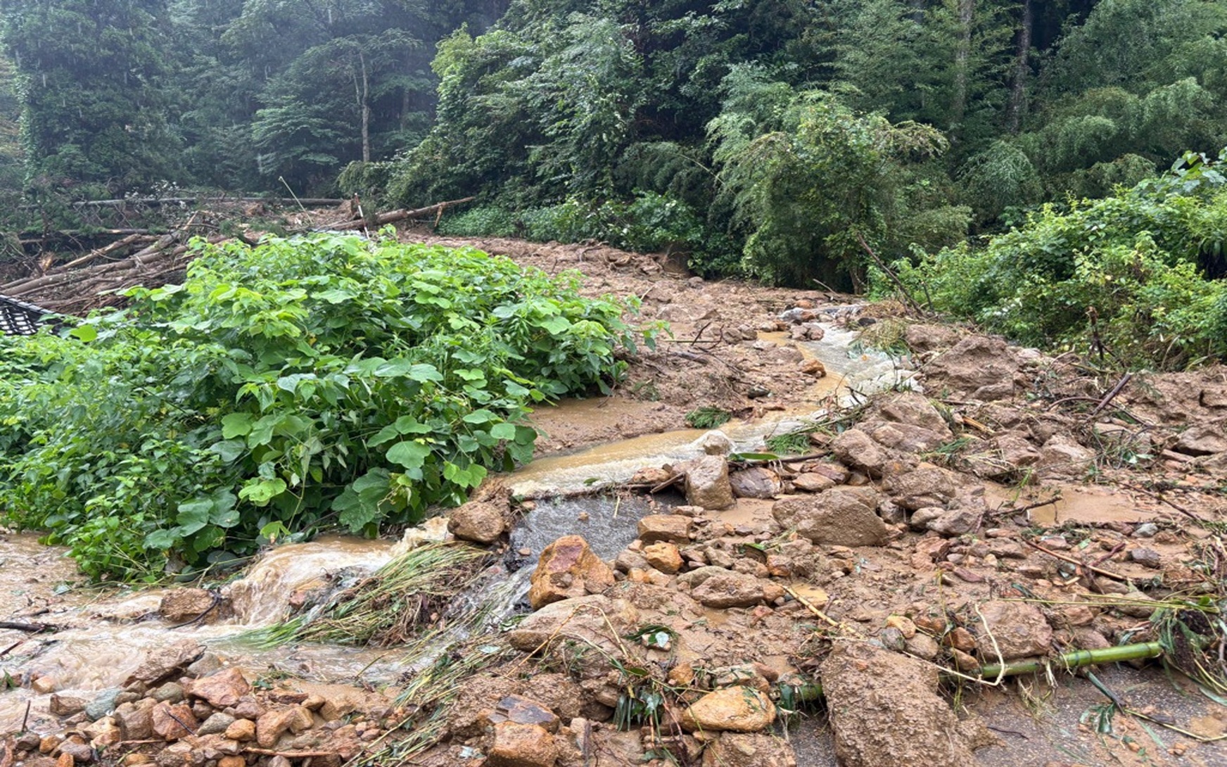 氷見市 令和8年8月富山･石川豪雨災害支援【返礼品なし】