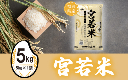 【令和7年産】宮若米(夢つくし) 精米 5kg [M923-1]