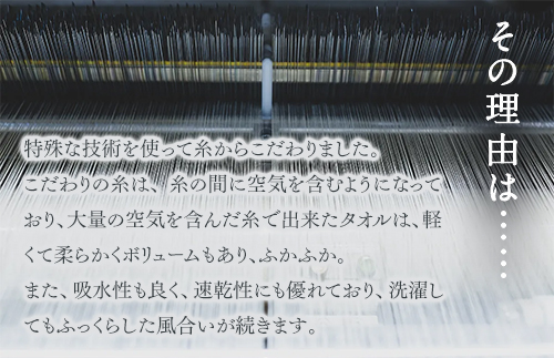 泉州美人 フェイスタオル 同色3枚組（約33×85cm）泉州タオル｜フェイス タオル 高級 極上 柔らか ふわふわ はだざわり 肌触り 無地 ホワイト 白 風呂 洗顔 スポーツ プール ギフト プレゼ