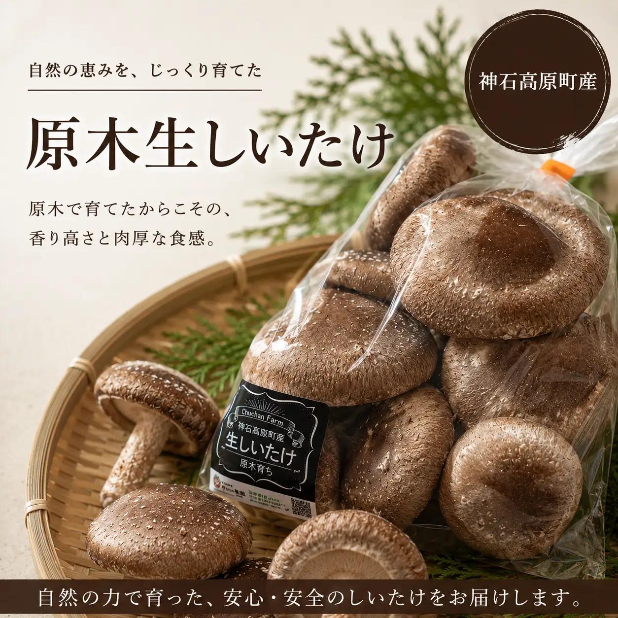 【ふるさと納税】神石高原産 原木生しいたけ 約200g 肉厚で香り豊か 原木栽培 椎茸 しいたけ 国産｜中ちゃん農園 広島県 神石高原町