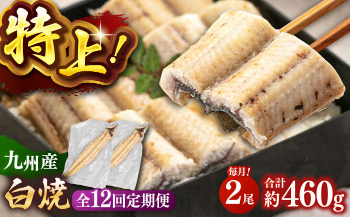 
全12回定期便 鹿児島産うなぎ 白焼2尾セット▼国産 鰻 ウナギ 白焼き 特大 本格 有頭 [ADAH017]
