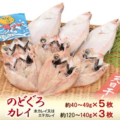 ふるさと納税 浜田市 のどぐろ一夜干し5枚　カレイ天日干し3枚　計約600g