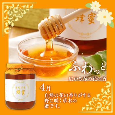 ふるさと納税 大木町 国産蜂蜜ギフト(白)　1,000g　CD01 |  | 02