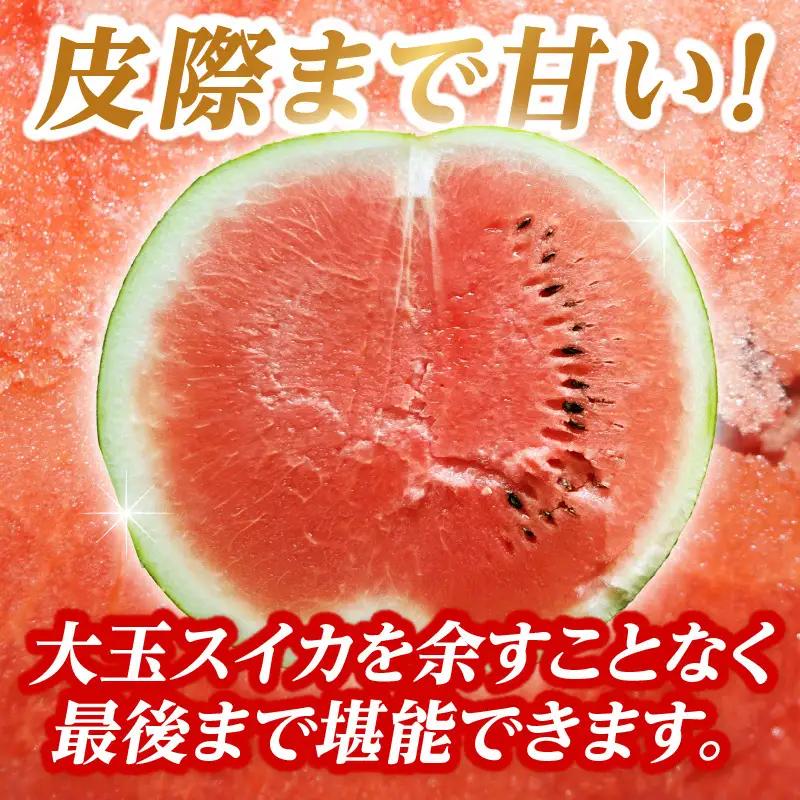 大江町産スイカ 羅皇ザ・スウィート 2L～3Lサイズ 2玉セット 068-002