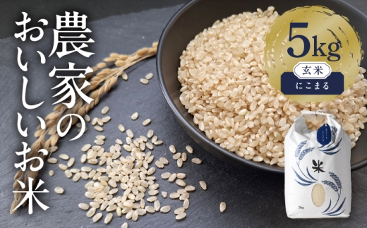 特別栽培米 にこまる 玄米 5kg お米 ご飯 愛知県産 米 玄米 愛西市 ／ 株式会社TONORI [AECT018]