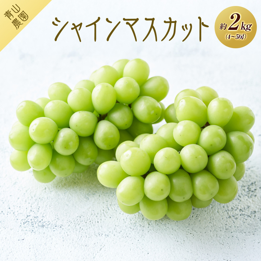 【数量限定】 シャインマスカット 約2kg
