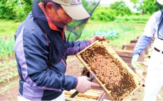 はちみつ 化粧箱入り 国産 天然 純はちみつ やまみつ 1kg ギフト 《包装対応、手提げ袋付》