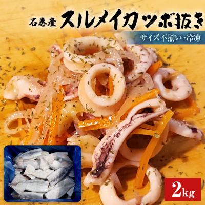 ふるさと納税 石巻市 石巻市産スルメイカツボ抜き2kg 冷凍 国産 スルメイカ いか イカ魚介類 焼イカ バーベキュー