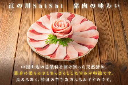 天然猪ローススライスすき焼き用500ｇ  いのしし肉 イノシシ肉 猪肉 猪 ロース ロース肉 スライス すき焼き用 すき焼き 鍋 500g 贈り物 贈答品 AI-8 ジビエ 猪鍋 江津市 島根県 江の