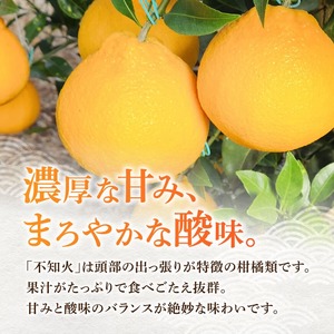 宮崎県川南町産「不知火（しらぬい）」６～１０玉 【 先行予約 季節限定 果物 フルーツ 不知火 みかん 】