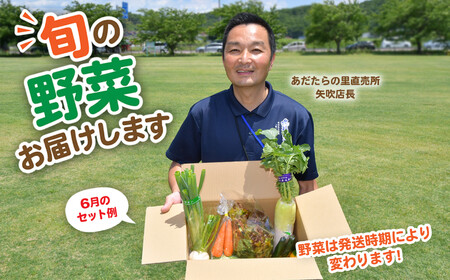 野菜 詰め合わせ セット (10種類前後) おまかせ お試し 旬の野菜 ｜ 野菜セット SDGs 5000円 ５０００円以下 採れたて 新鮮 BBQ バーベキュー アウトドア キャンプ 旬 グルメ 農