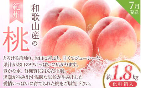 定期便【全3回/2～3・7・9月】＼フルーツ大国和歌山からお届け／ 旬のフルーツ 定期便（いちご・桃・ピオーネ）/ 定期便 フルーツ定期便 くだもの定期便 果物定期便 和歌山 果物 フルーツ【tkb4