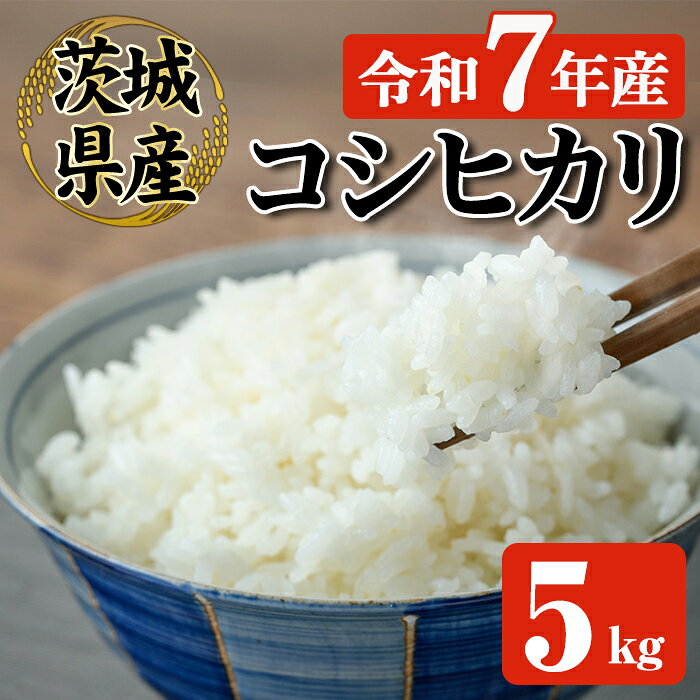 【ふるさと納税】米 お米 新米 令和7年 常陸大宮産 コシヒカリ 5kg 令和7年産 精米 白米 米 こめ コメ ご飯 ごはん コシヒカリ こしひかり 5kg 5キロ【JA常陸　常陸農業協同組合】【ho1574】