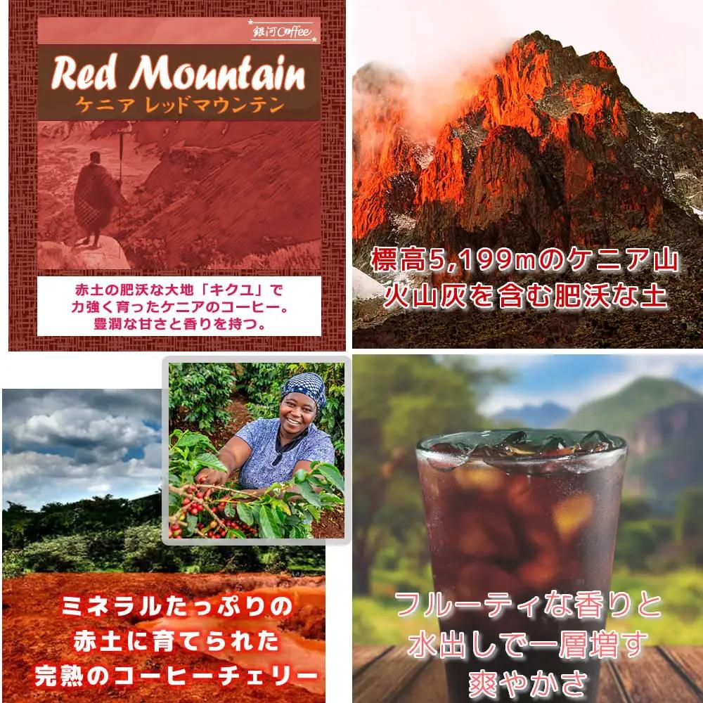 【12203-0126】水出し珈琲セット（お手軽版） 世界の高級コーヒー80g×4種 銀河コーヒー ふるさと納税 市川市 返礼品