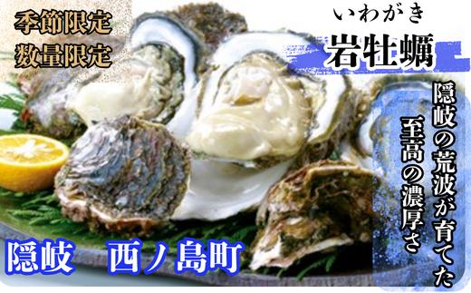 
                  【数量限定！】隠岐のいわがき 6～8個入り岩ガキ 島で採れるプリプリ大粒でクリーミーな味わいをぜひ
 大人気 大粒 牡蠣 カキ 岩ガキ 新鮮 おすすめ 人気 濃厚 クリーミー
                