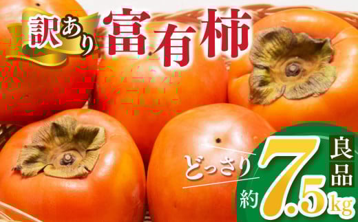【家庭用】 どっさり わけあり 富有柿  約7.5kg | フルーツ くだもの 果物 柿 かき カキ 訳 あり わけあり 家庭用 自宅用 どっさり たっぷり 奈良県 五條市