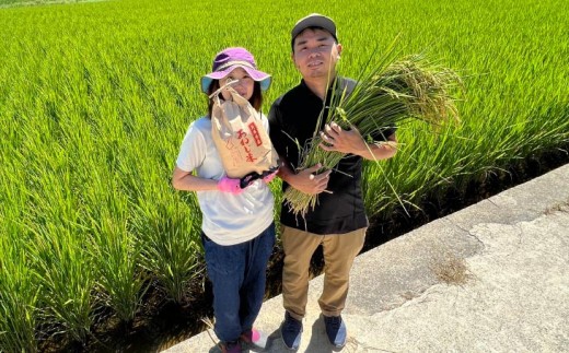 淡路島産ヒノヒカリ 10kg