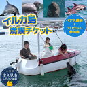 【ふるさと納税】イルカとふれあうFor family（イルカ島満喫チケット）水族館 体験チケット レジャーチケット アクティビティ 動物ふれあい 大分県産 九州産 津久見市 国産 送料無料