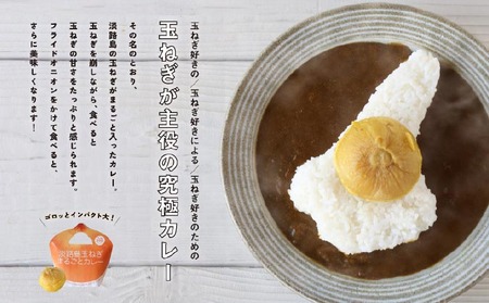 淡路島玉ねぎがまるごと１玉入った『淡路島玉ねぎまるごとカレー』10食セット
