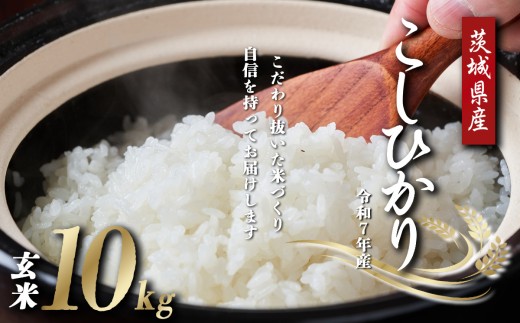 令和7年産 コシヒカリ 玄米 10kg │ 米 玄米 こしひかり 茨城県産 こめ コメ お米 2025年産 ごはん 数量限定 茨城県 つくば市