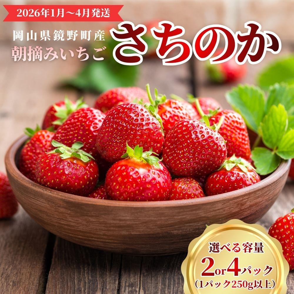 【ふるさと納税】【選べる容量】鏡野町産 朝摘みいちご「さちのか」2〜4パック（合計500g〜1kg）【2026年1月～4月発送】【029-a014】【029-a015】