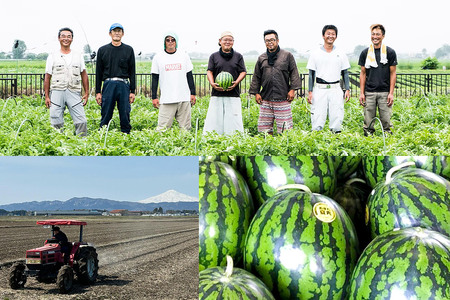 【白米】令和7年産 あきたこまち 5kg（5kg×1袋） 横手市産
