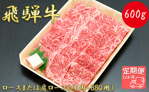 
【12か月定期便】【飛騨牛】ロースまたは肩ロース600g (焼肉・BBQ用)
