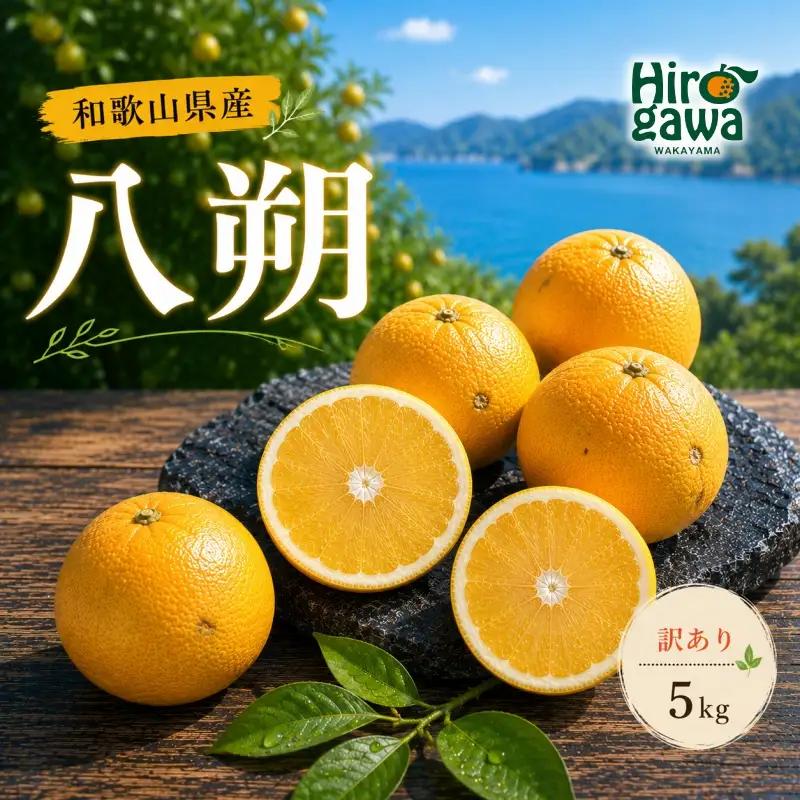八朔 訳あり 5kg / 和歌山 有田 広川 はっさく 柑橘 果物 くだもの ギフト フルーツ 果実 ※2027年2月上旬～2月下旬頃に順次発送予定【hkt021-c-5A】