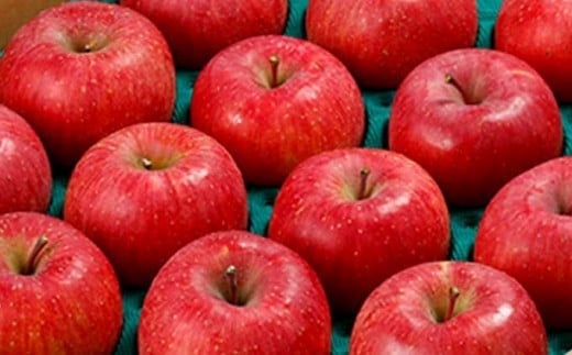 開花から収穫まで時間をかけ、太陽の恵みで蜜入りジューシーなサンふじ。