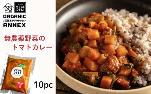 【Organic Vege Annex】無農薬野菜のトマトカレー冷凍10パックセット［ 京都 上賀茂 八百屋 オーガニック ヴィーガン vegan 野菜  こだわりのお惣菜 おいしい 人気 おすすめ アネックス べジ お取り寄せ 通販 送料無料 ふるさと納税 ］