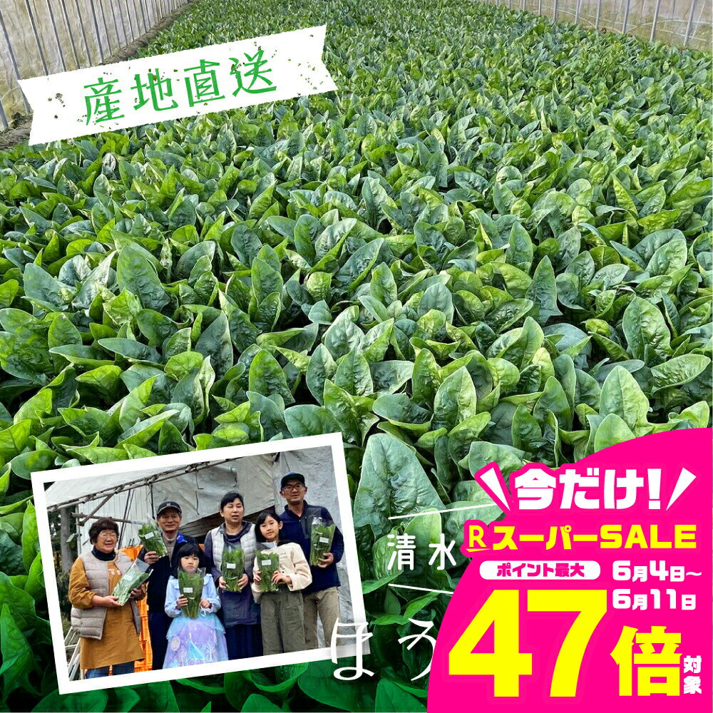 【ふるさと納税】《先行予約・選べる発送月》 令和7年産 奥飛騨山之村 清水さんちの肉厚ほうれん草 180g×2~5袋 野菜 葉物野菜 ホウレンソウ ほうれんそう 産地直送 [Q1287] 5000円 5千円 10000円 1万円